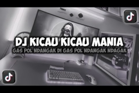 DJ KICAU KICAU MANIA GAS POL NDANGAK || KICAU MANIA VIRAL TIKTOK SLOW REMIX FULLSONG MAMAN FVNDY