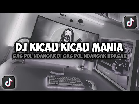 DJ KICAU KICAU MANIA GAS POL NDANGAK || KICAU MANIA VIRAL TIKTOK SLOW REMIX FULLSONG MAMAN FVNDY