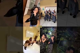 Ajak Teman Kalian Bikin Trend Kicau Mania | Dance Tiktok Terbaru #dancetiktok #trend #viral #shorts
