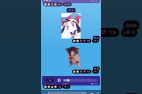 kicau kicau kicau mania 🤪😎||#fypシ゚ #edit #subrek #like #digitalcircusshorts #pomni #jj #semogarame