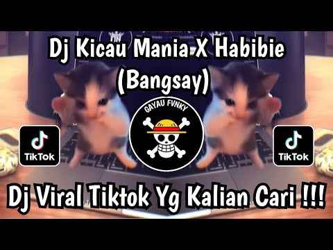 DJ KICAU MANIA X HABIBIE BANGSAY – SOUND VIRAL FYP TIKTOK TERBARU ‼️