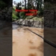 mancing wader di air keruh disambar babon #30