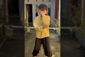 kicau kicau mania