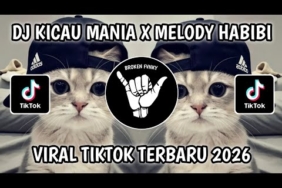 DJ KICAU KICAU MANIA X MELODY HABIBI TREND KUCING VIRAL TERBARU 2026