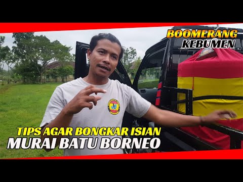 TIPS AGAR BORNEO BONGKAR ISIAN