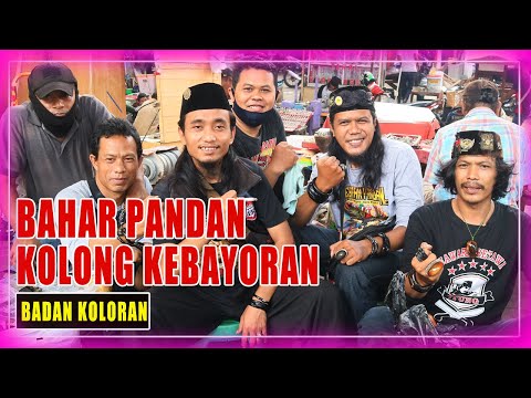 AKAR BAHAR BATU PANDAN KOLONG KEBAYORAN (BADAN KOLORAN) | JAKARTA GEMSTONES MARKET (INDONESIA)