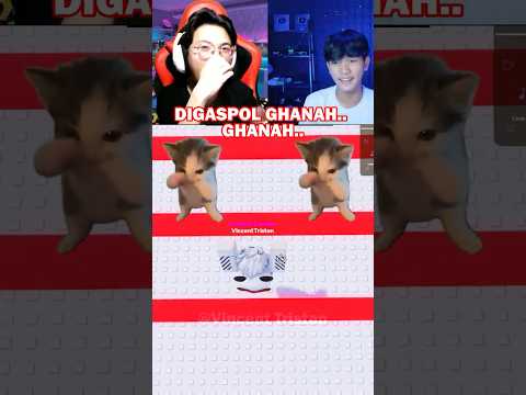 DUET KICAU MANIA BARENG @dexin12 #roblox #shorts