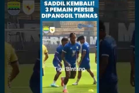 GARUDA CALLING! Saddil Kembali, 3 Bintang Persib Dipanggil Timnas