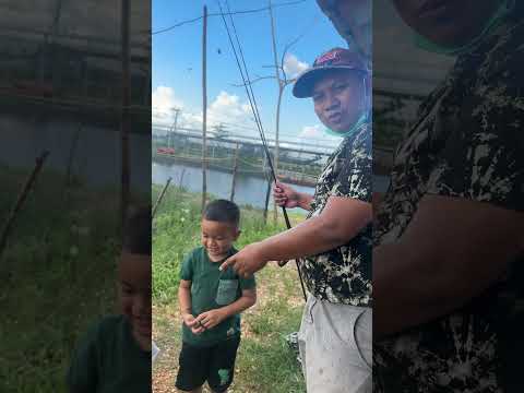 Jadwal nya mancing mania