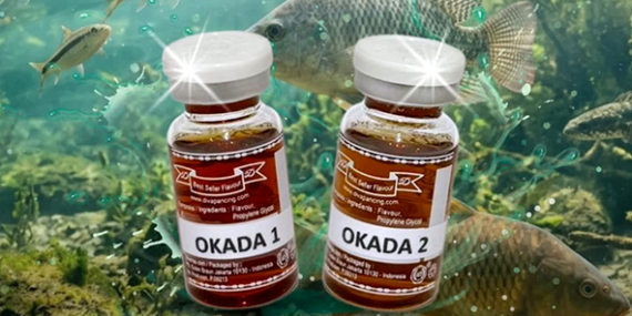 Okada : Produk Baru Diva, Essen Okada 1 & Okada 2, Untuk Semua Jenis Ikan Air Tawar