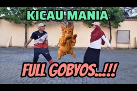 SENAM KICAU MANIA | DJ VIRAL TIKTOK