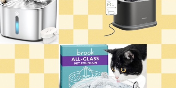 Air Mancur Kucing Terbaik Tahun 2026: Petlibro, Petkit, Oneisall