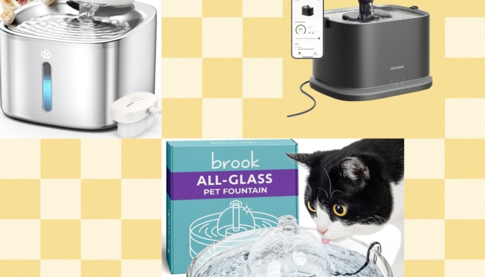 air-mancur-kucing-terbaik-tahun-2026:-petlibro,-petkit,-oneisall