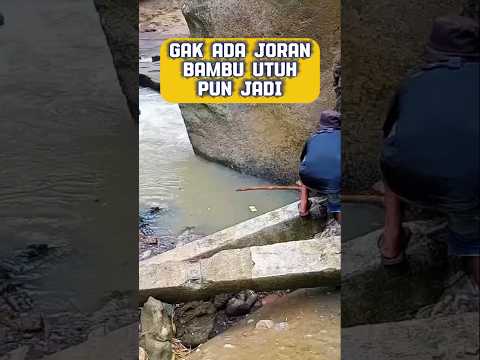 Mancing menggunakan bambu utuh #mancing #fishing #mancingmania