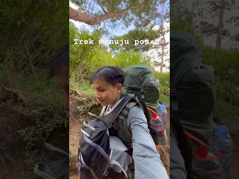 Trek menuju pos 2 sindoro via kledung masih santai #shortvideo #shorts #pendaki