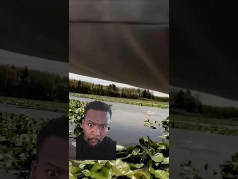 Not Again #fishing #fish #youtubeshorts #shorts #viral #video #foryou #fyp #subscribe #op #how #fun