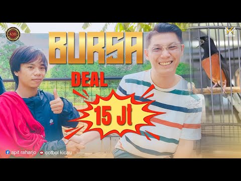 Murai Batu Bursa 15 Juta ‼️Langsung Deal Harga Maxsimal🔥🔥🔥