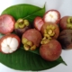 manggis-“the-queen-of-fruits”,-buah-tropis-asli-indonesia-yang-diburu-dunia