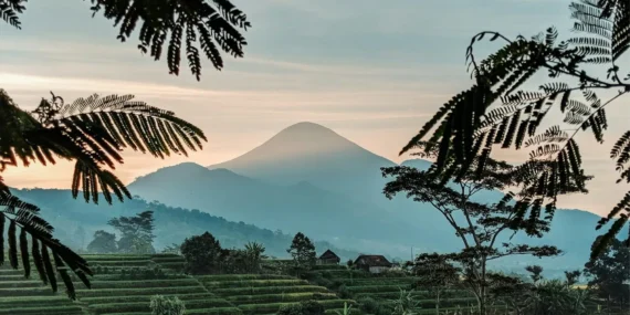 Slow Living di Gamping Itu Nyata, Asal Kamu Tidak Jadi Warga Lokalnya