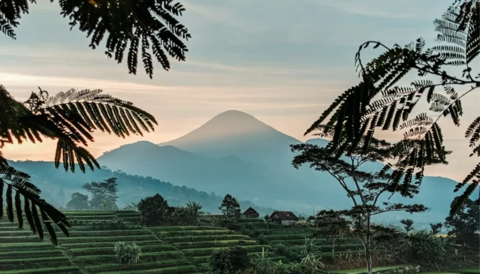 slow-living-di-gamping-itu-nyata,-asal-kamu-tidak-jadi-warga-lokalnya