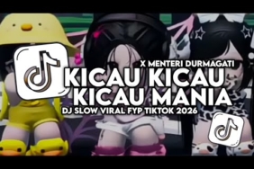 DJ Kicau Kicau Kicau Mania X Menteri Durmagati X Melody Enak Full Song Tiktok (Slow Bass)