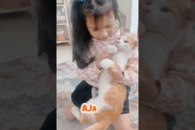 DARLEEN AJARIN KUCING KICAU MANIA!! #viralvideo #viralvidio