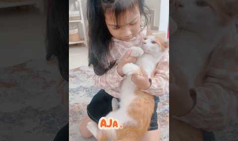 DARLEEN AJARIN KUCING KICAU MANIA!! #viralvideo #viralvidio