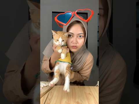 Kicau mania syireng tempe😱😱