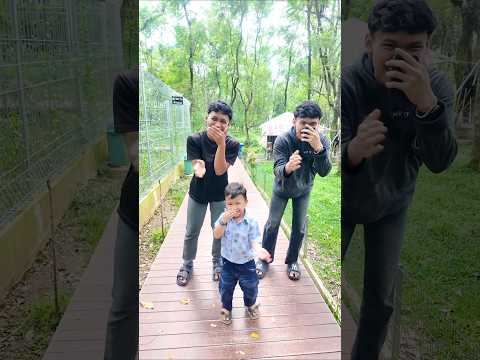 Gak boleh kicau mania #shortvideo #shortsfeed #ytshorts #funny