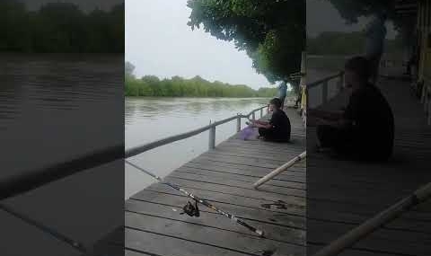 boncos ya  minggu arep gass mangkat maning