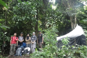 hutan-kayu-lara-di-luwu-simpan-spesies-langka-sulawesi-yang-diincar-ilmuwan