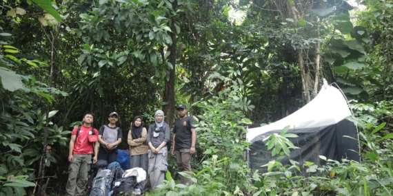 Hutan Kayu Lara di Luwu Simpan Spesies Langka Sulawesi yang Diincar Ilmuwan