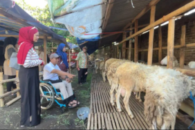 difabel-jadi-marketing-kambing-kurban,-kandang-di-bantul-ini-malah-laris-diserbu-pembeli