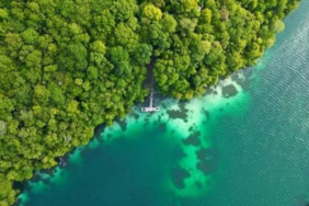 danau-kakaban-berau,-satu-dari-dua-danau-ubur-ubur-langka-di-dunia