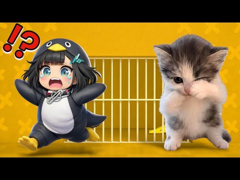 GUGUGAGA PENGUIN Masuk Ke Penjara KUCING KICAU MANIA! ROBLOX