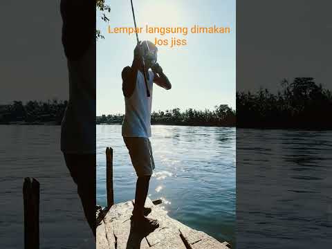 lempar umpan langsung dimakan!! mancing segampang ini kah?? #momenmanis #umpanikanmasjitu #mancing