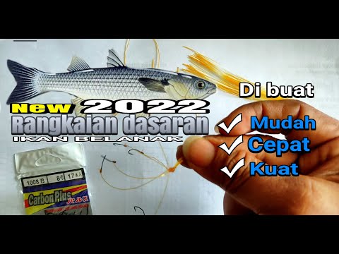 Rangkaian terbaru mancing ikan belanak teknik dasaran MUDAH, CEPAT & KUAAAAAAATTT