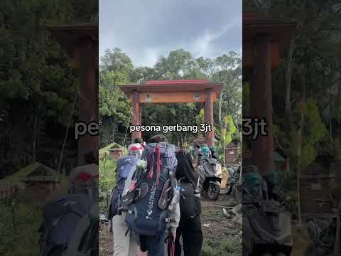 GERBANG GUNUNG KERINCI #pendaki #sahabatgunung #pendakigunung