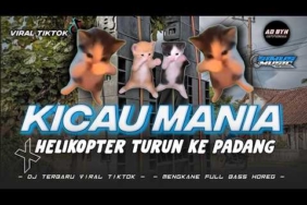 DJ KICAU MANIA x HELIKOPTER TURUN KE PADANG TERBARU || FYP TIKTOK BASS HOREG