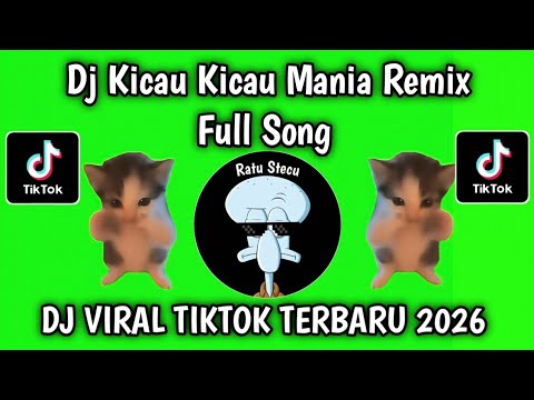 DJ KICAU KICAU MANIA REMIX FULL SONG VIRAL TIKTOK TERBARU 2026 YANG KALIAN CARI CARI !!