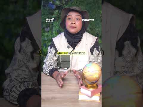 Gunung Dukono Meletus, 2 Pendaki WNA T3w4s