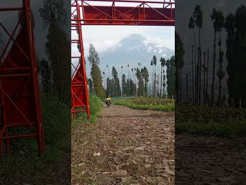 ojek gunung sumbing via garung #shorts #pendaki  #gunungsumbing #sumbingviagarung #ojekgunung