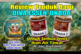 kabarmancing-channel-:-review-produk-baru-diva-‘essen-okada-1-&-okada’