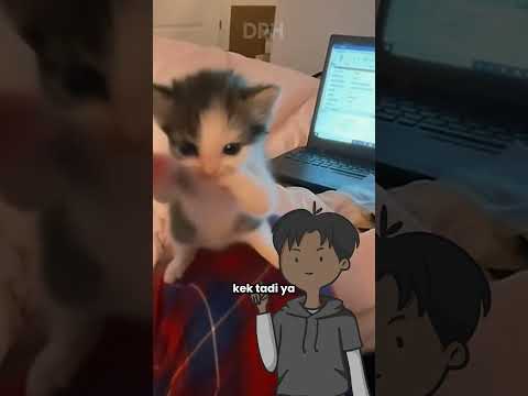 Kicau Kicau Kicau Mania