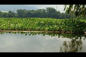 mancing mania Ngantang