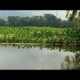 mancing mania Ngantang