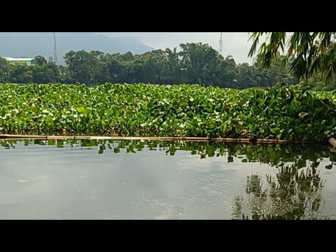 mancing mania Ngantang
