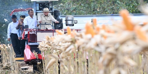 Presiden Prabowo Panen Raya Jagung dan Resmikan 10 Gudang Polri