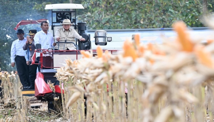 presiden-prabowo-panen-raya-jagung-dan-resmikan-10-gudang-polri