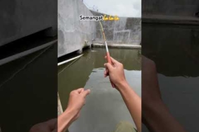 Mancing mania, #mancingikan #strike #ceritahariini #hobimancing #ytshorts